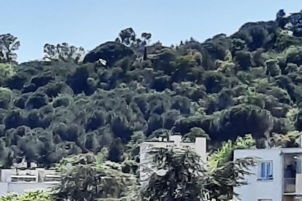 Studio Croix Des Gardes Palais Plages Cannes Exteriör bild