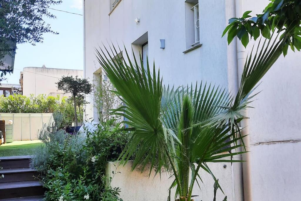 Studio Croix Des Gardes Palais Plages Cannes Exteriör bild